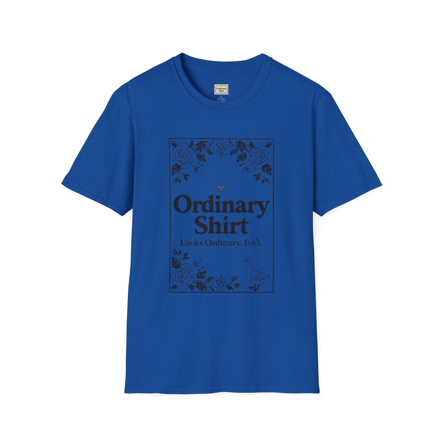 Looks Ordinary. Isn't